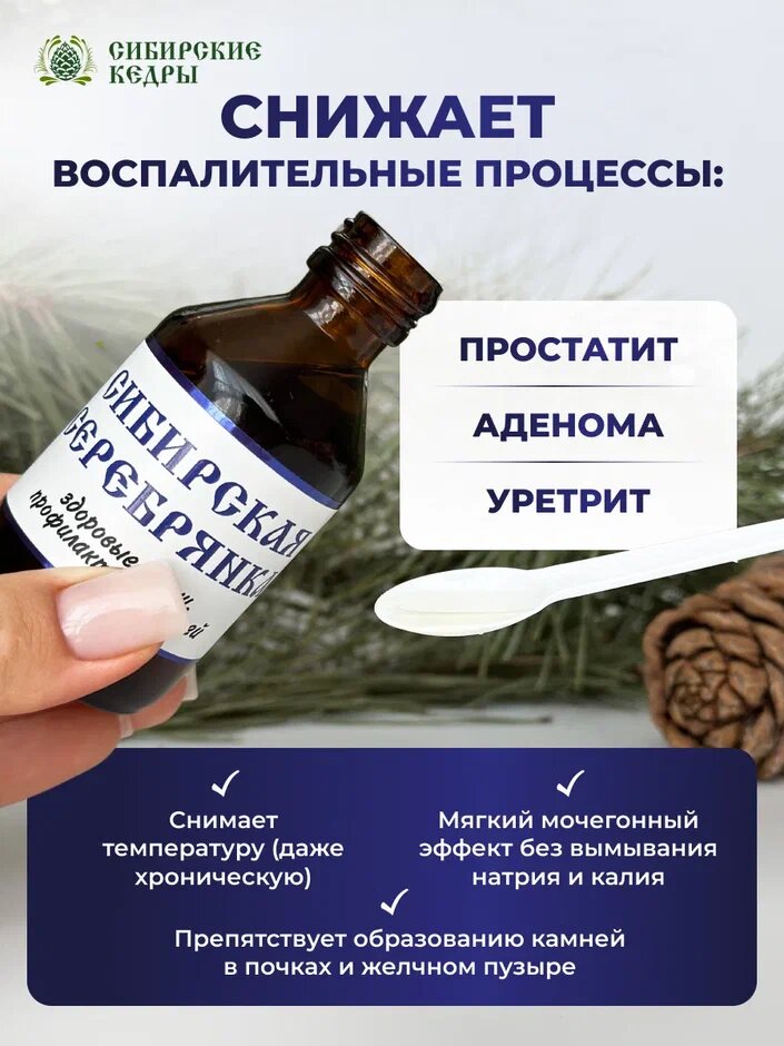 Препараты От Болезней Почек Бальзам Сибирская серебрянка, при заболеваниях почек и мочевого пузыря для растворения камней в почках, от цистита 50 мл