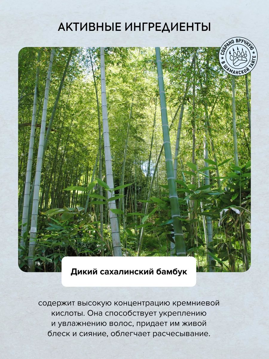 Шампунь для сухих волос Natura Siberica Taiga Deep Hydrating увлажняющий гиалуроновый от ломкости 400 мл — фото 1