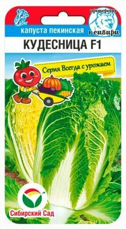 Капуста пекинская Кудесница F1 02г /СибСад