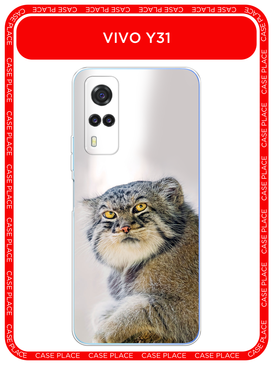 Чехол на Vivo Y31/Y53s 4G / Виво Y31/Y53s с принтом Кот манул 1