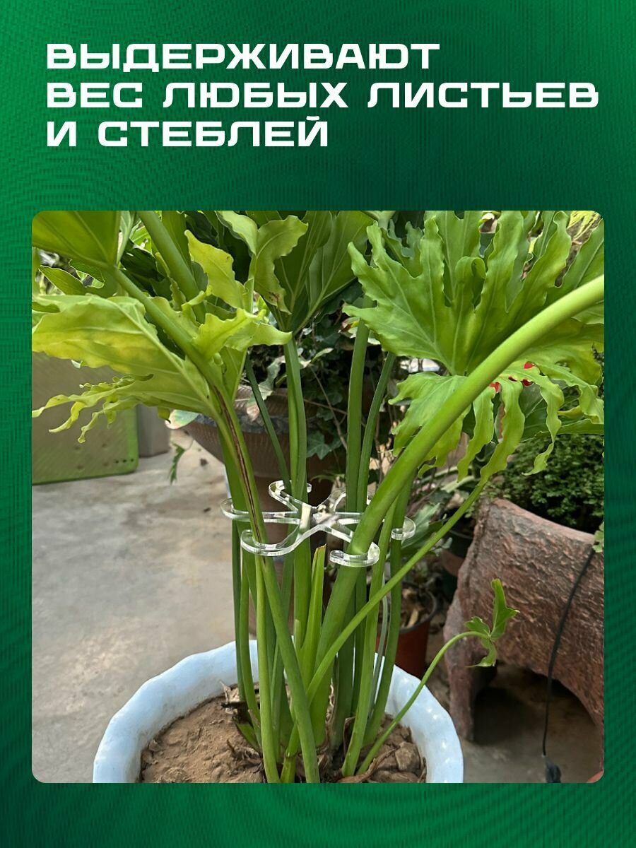 Опора для сбора стеблей растений 4 штуки прозрачная — фото 1