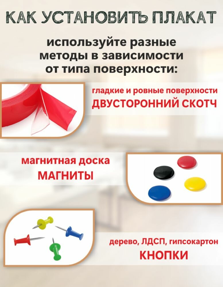 Плакат-баннер для школьного кабинета географии В. Белинский 50х120 см — фото 1