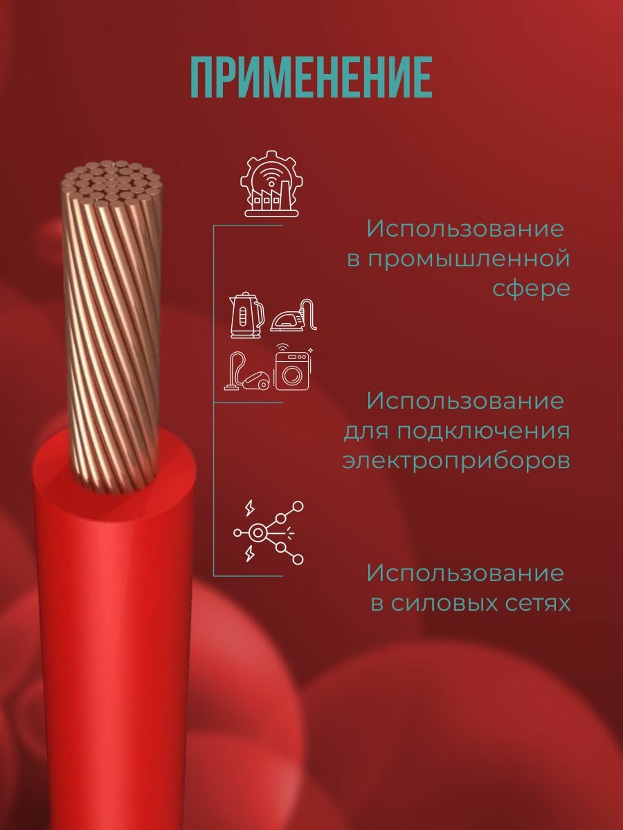 Провод электрический многожильный ПУГВ ПВ3 1х10 красный 3м — фото 1