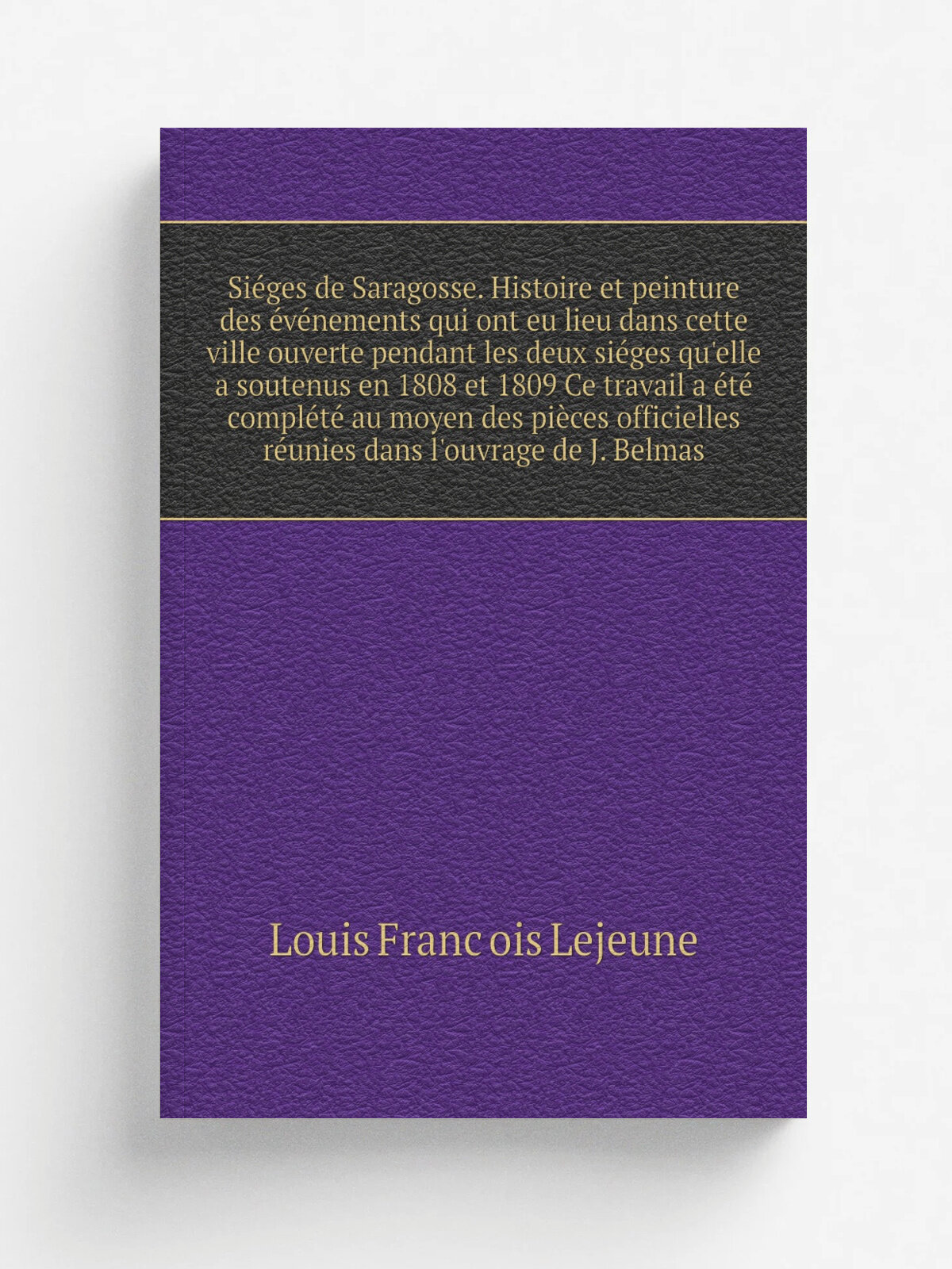 Si.ges de Saragosse. Histoire et peinture des .v.nements qui ont eu lieu dans cette ville ouverte pendant les deux si.ges qu'elle a soutenus en 1808 …