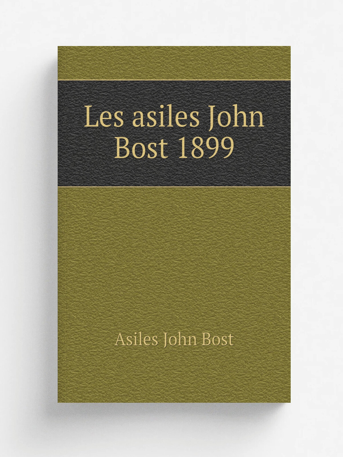 Les asiles John Bost 1899 | Asiles John Bost | Репринт
