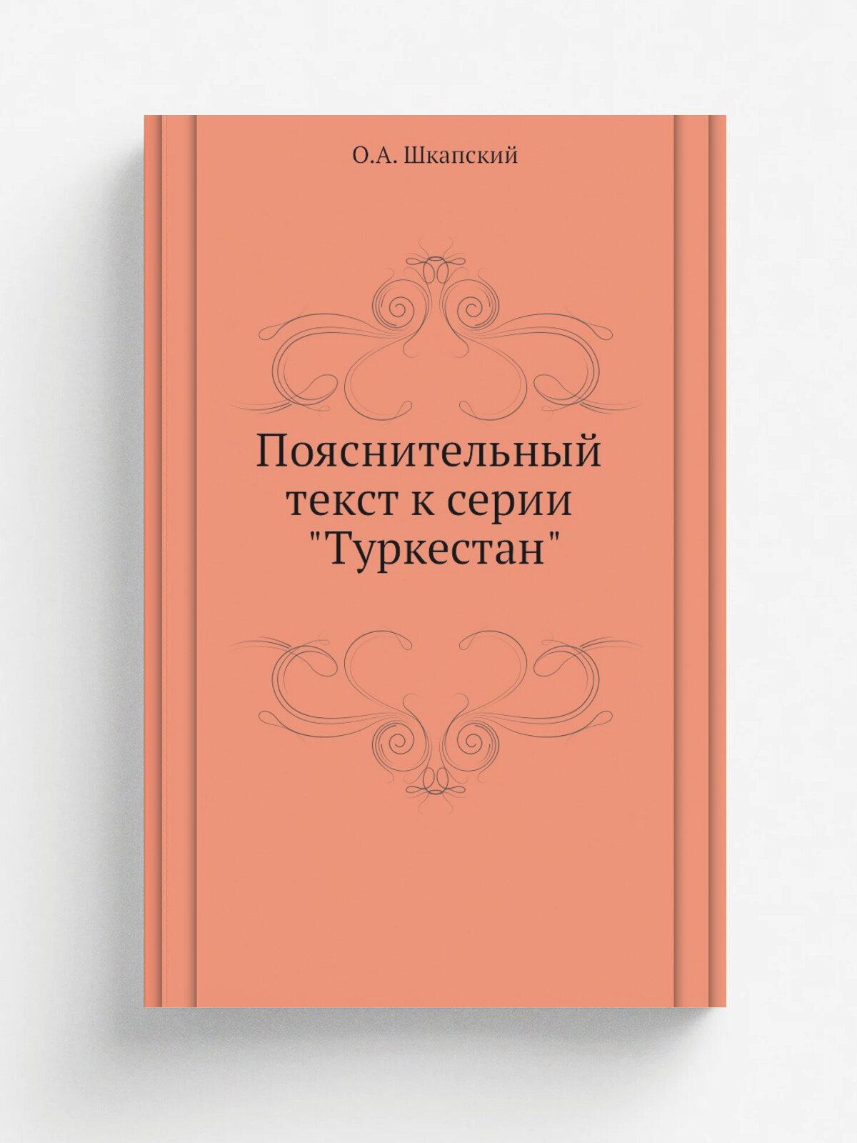 Пояснительный текст к серии "Туркестан"