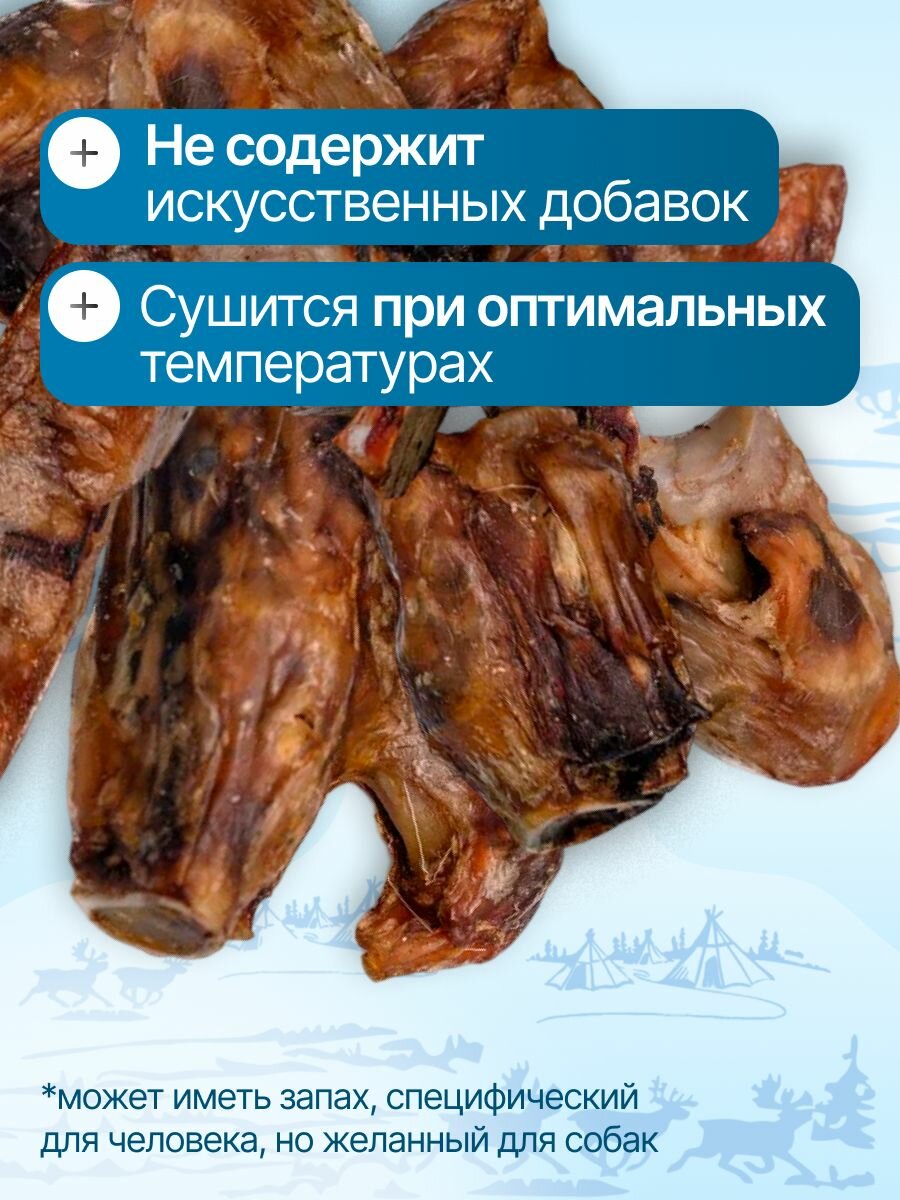 Сустав оленя 300 гр для крупных пород, лакомства для собак, полезные вкусняшки, Паюта — фото 1