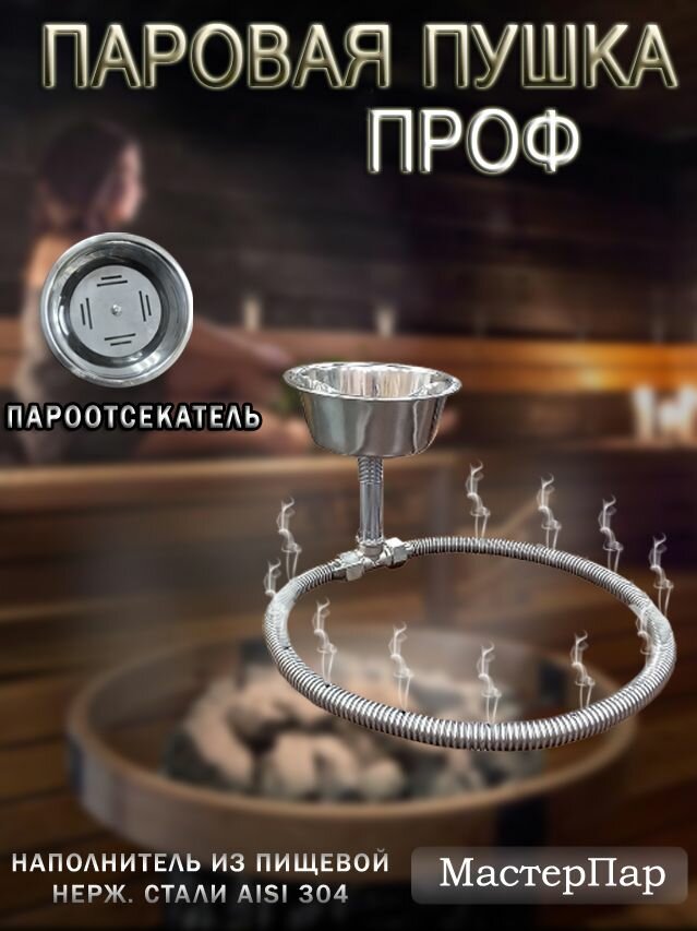 Паровая пушка (парогенератор) "МастерПар" Ч Проф 1000