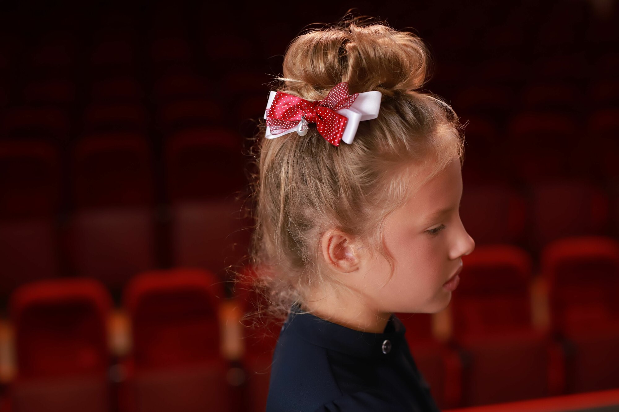 Заколка большая Андерсен Соната — фото 1