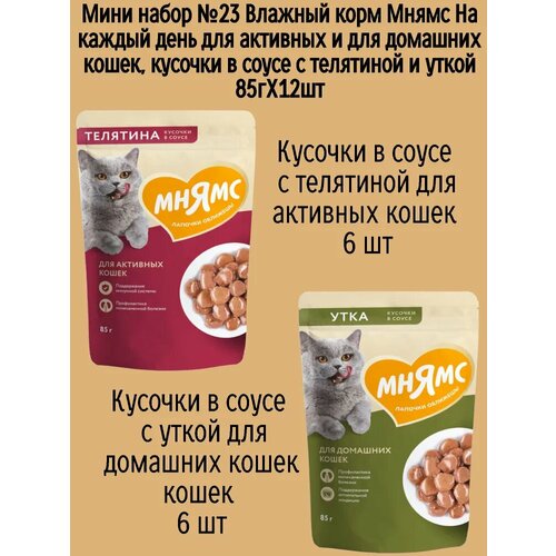 Мини набор №23 Влажный корм Мнямс для активных домашних кошек, кусочки в соусе с телятиной и уткой, 12 шт х 85 гр
