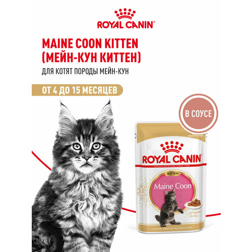 Корм Royal Canin для котят породы Мэйн Кун в возрасте до 15 месяцев MAINE COON KITTEN (мейн КУН киттен), мелкие кусочки в соусе, 28х85г