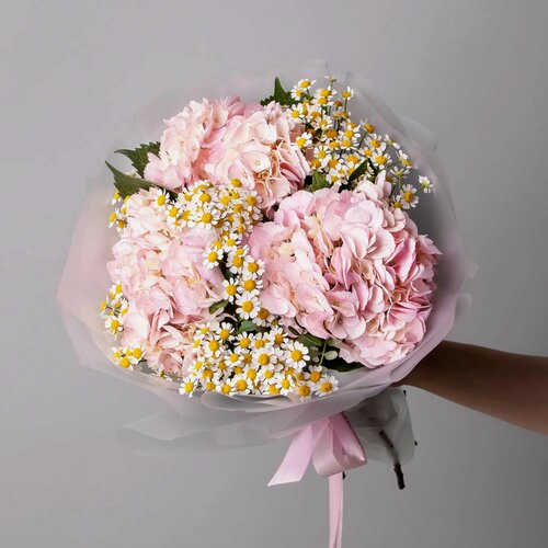 Изображение товара Дуобукет из розовой гортензии и ромашки в коробке и аквабоксе от "Простоцветы"