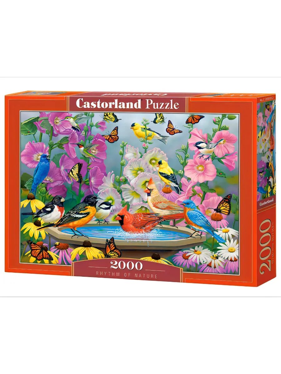 CastorLand Пазл Ритм природы 2000 деталей