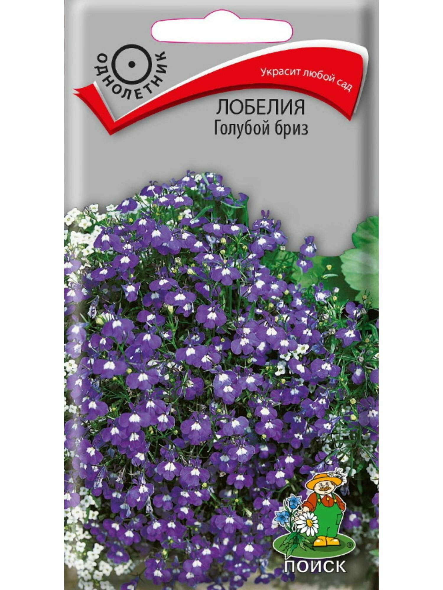 Семена Лобелия Голубой Бриз