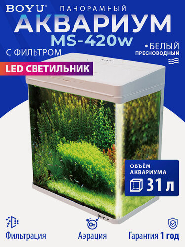 Изображение товара Аквариум для рыбок Boyu MS-420 31 л с LED светильником и фильтром, белый