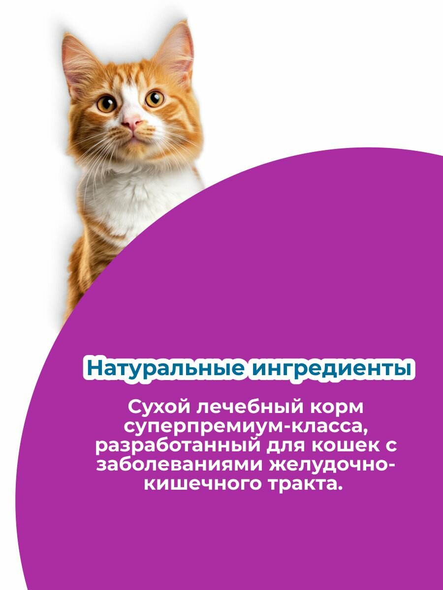 Сухой лечебный корм для кошек, ветеринарная диета, Monge VetSolution Gastrointestinal 1,5 кг — фото 1