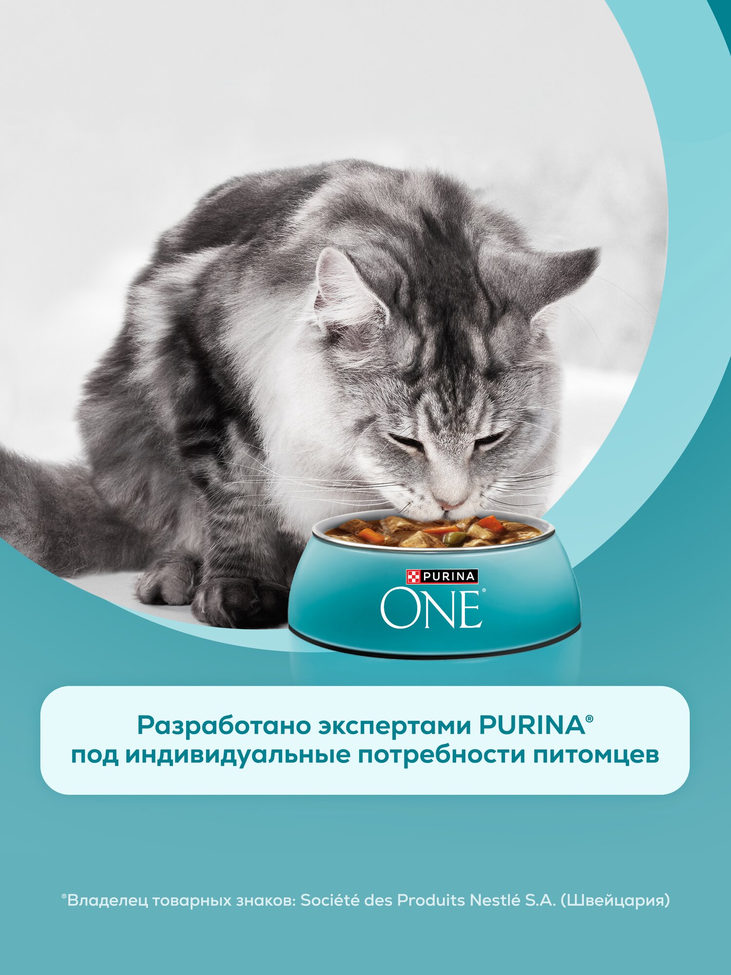 Изображение Влажный корм Purina One пауч для стерилизованных кошек Говядина и морковь, 75 г х 26 шт.