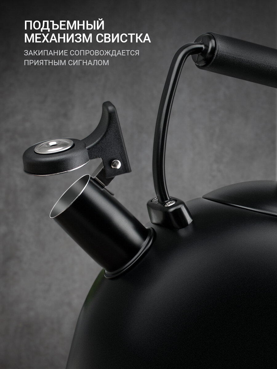 Чайник для всех типов плит TalleR TR-11379 Томас 2.5 л, со свистком — фото 1