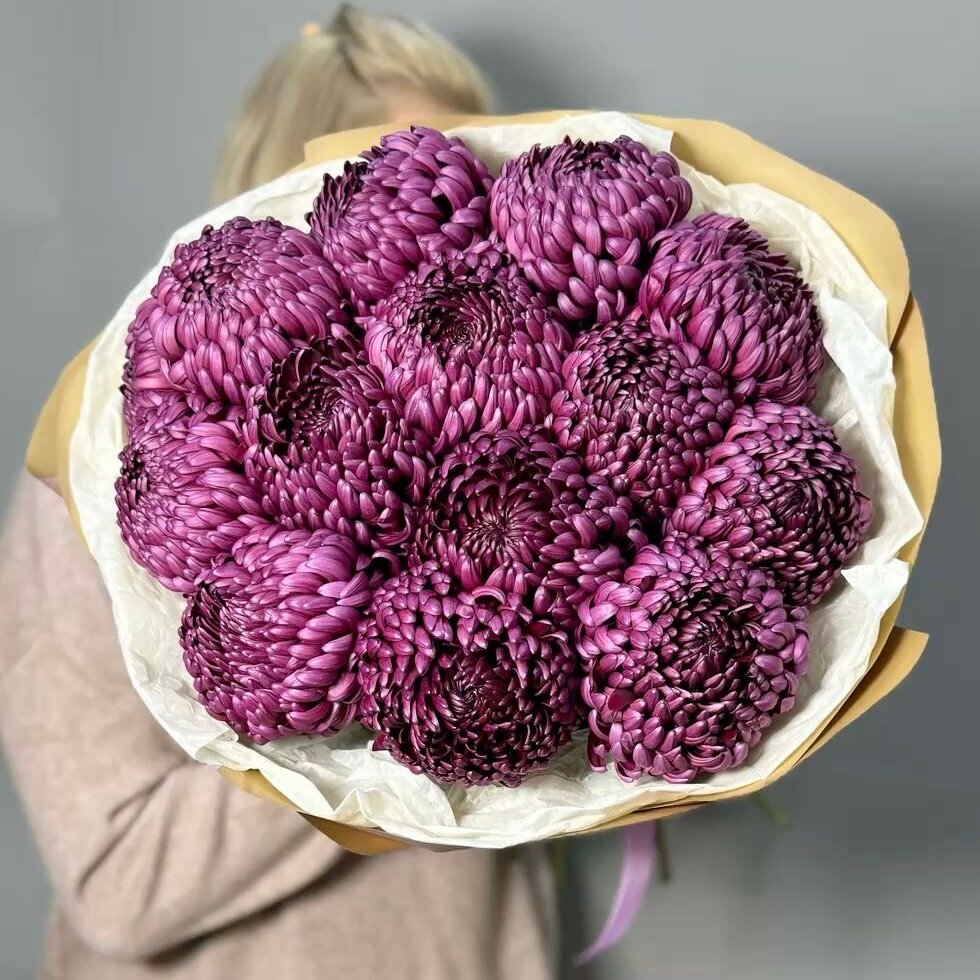 Букет из фиолетовых хризантем 13 шт красивый букет цветов шикарный премиум цветы премиум букет