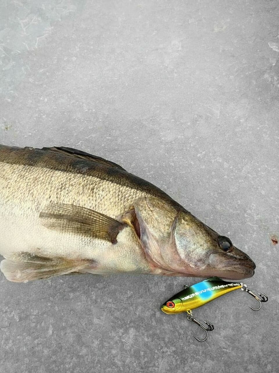 Раттлины вибы на судака 29г 5шт — фото 1