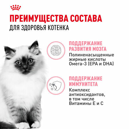 ROYAL CANIN KITTEN 5 х 85 г кусочки в соусе + KITTEN 5 х 85 г кусочки в желе мультипак, влажный корм для котят в возрасте до 12 месяцев — фото 1