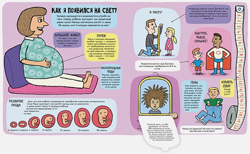 Маленькие исследователи. Удивительное тело — фото 1