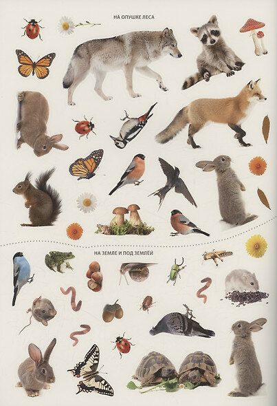 Фотонаклейки. Ферма — фото 1