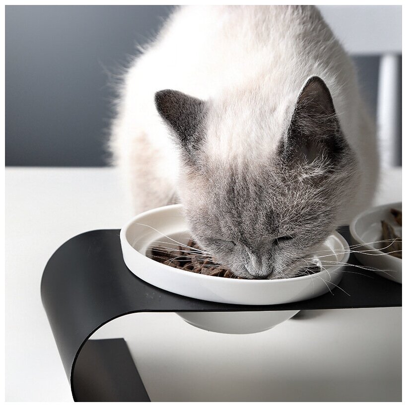 Миски И Подставки Xiaomi Стильная керамическая миска для кошек на подставке из металла HLDZ