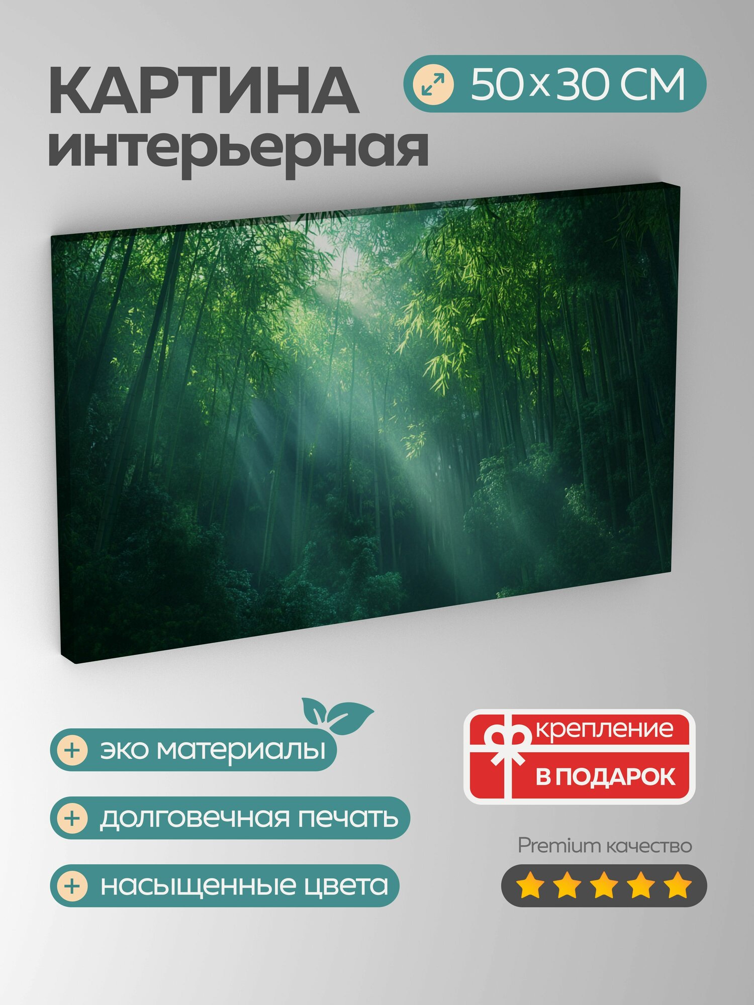 Картина на холсте интерьерная 50х30 см, Бамбуковый лес, японский, утро, зеленые оттенки, бамбуковые стебли, f