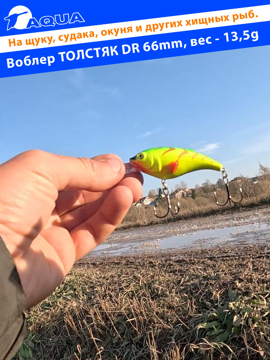 Воблер для рыбалки плавающий AQUA Толстяк DR 66mm 13,5g заглубление от 3 до 5m цвет 023 — фото 1