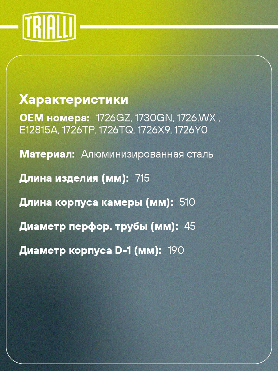 Глушитель для автомобилей Peugeot 206 (98-) 1.1i/1.4i/1.6i хетчбэк/CC основной (алюминизированная сталь) EMM 2006 TRIALLI — фото 1