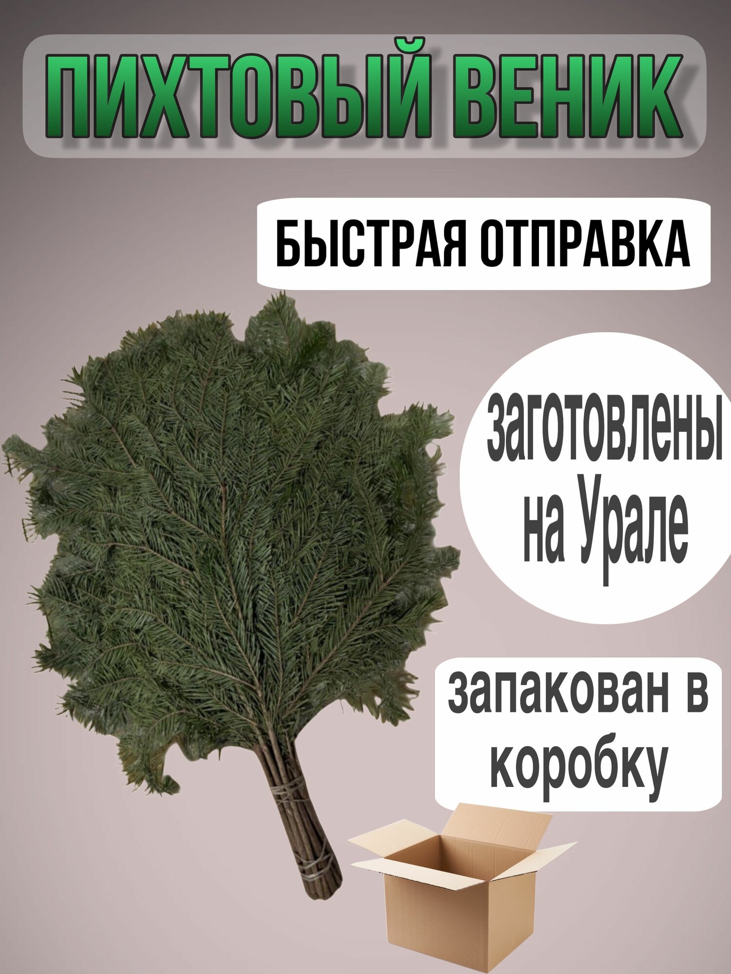 Пихтовый веник для бани в вакуумной упаковке: сохраняет свои свойства и дополнительно упакован в коробку