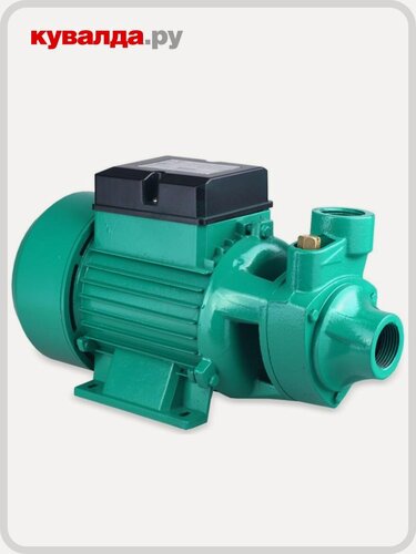 Изображение товара Насос садовый PATRIOT QB60