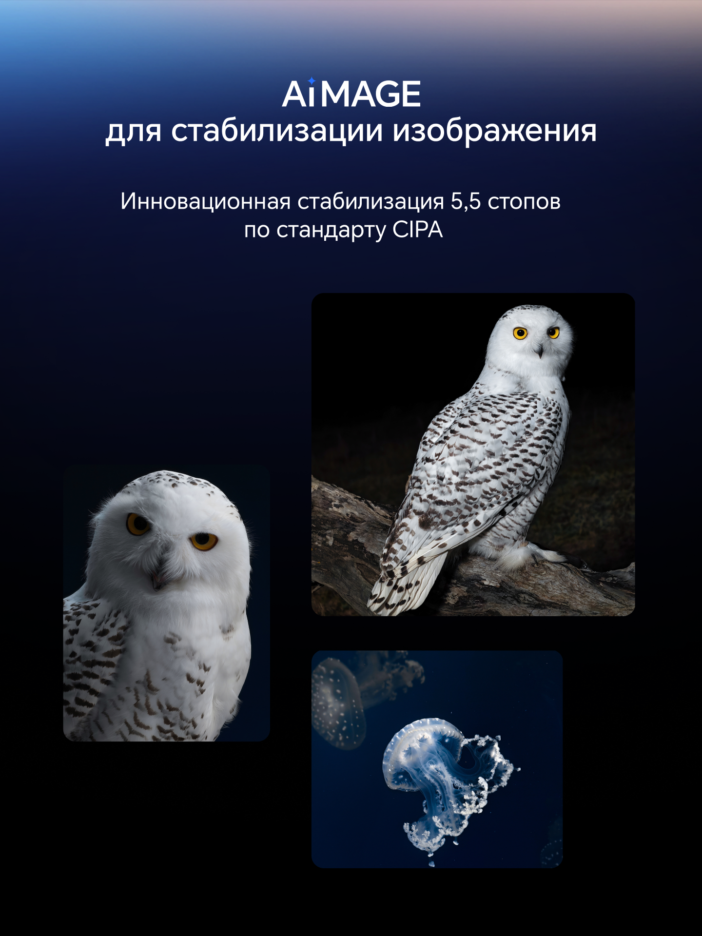 Смартфон HONOR Magic8 Pro 12+512ГБ, Черный графит, Ростест, Мобильные сервисы Google (GMS) — фото 1