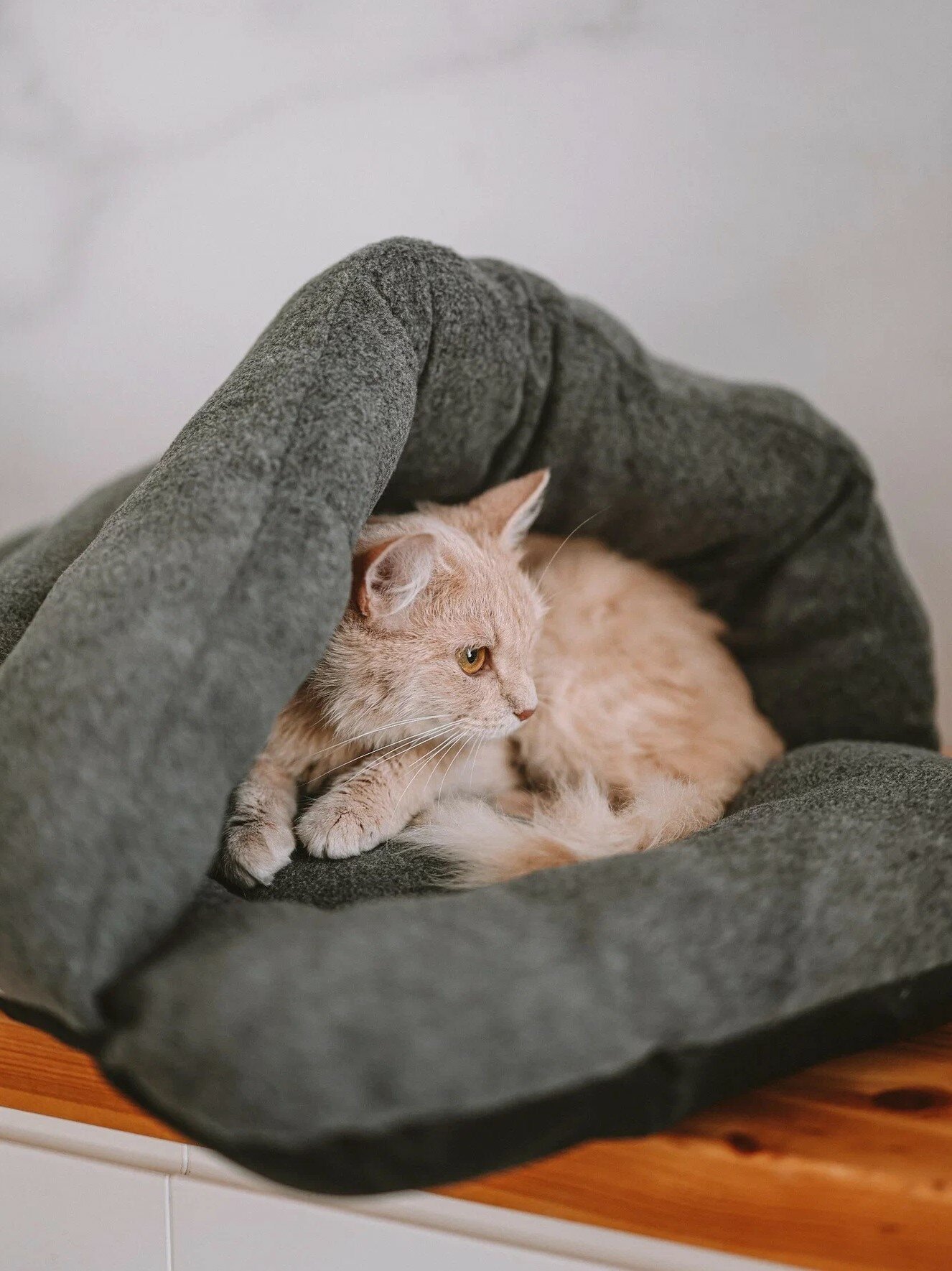 Домик для животного "Не Один Дома" Улитка для кошек для собак серый 50х40х21 см