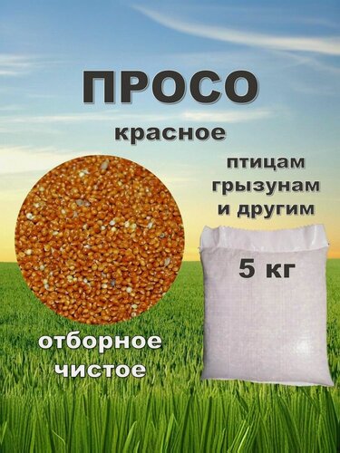Изображение товара Корм для птиц и грызунов Просо красное, 5 кг