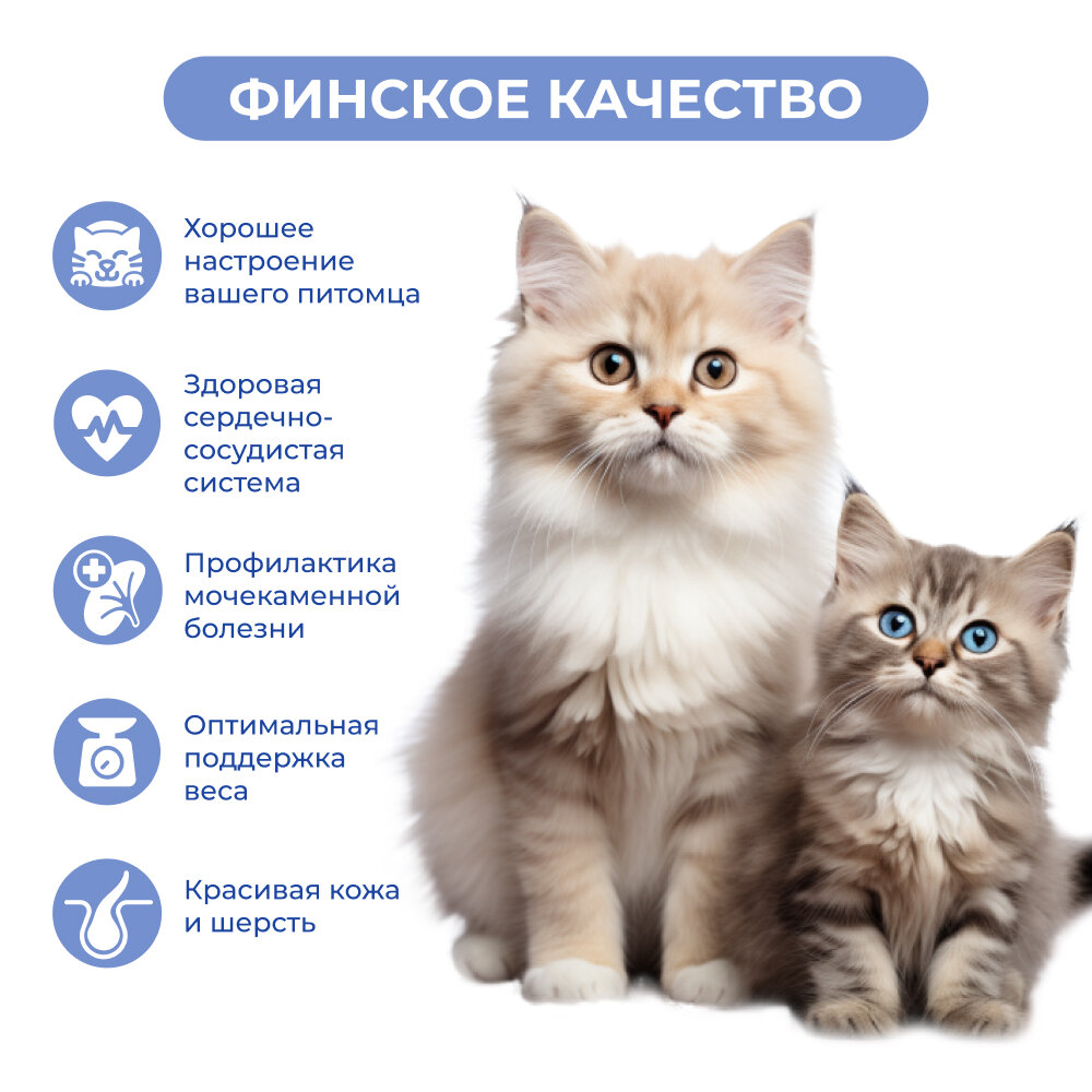 Картинки Влажный корм Jarvi для стерилизованных кошек (кусочки в желе) Индейка, говядина, 85 г х 24 шт.