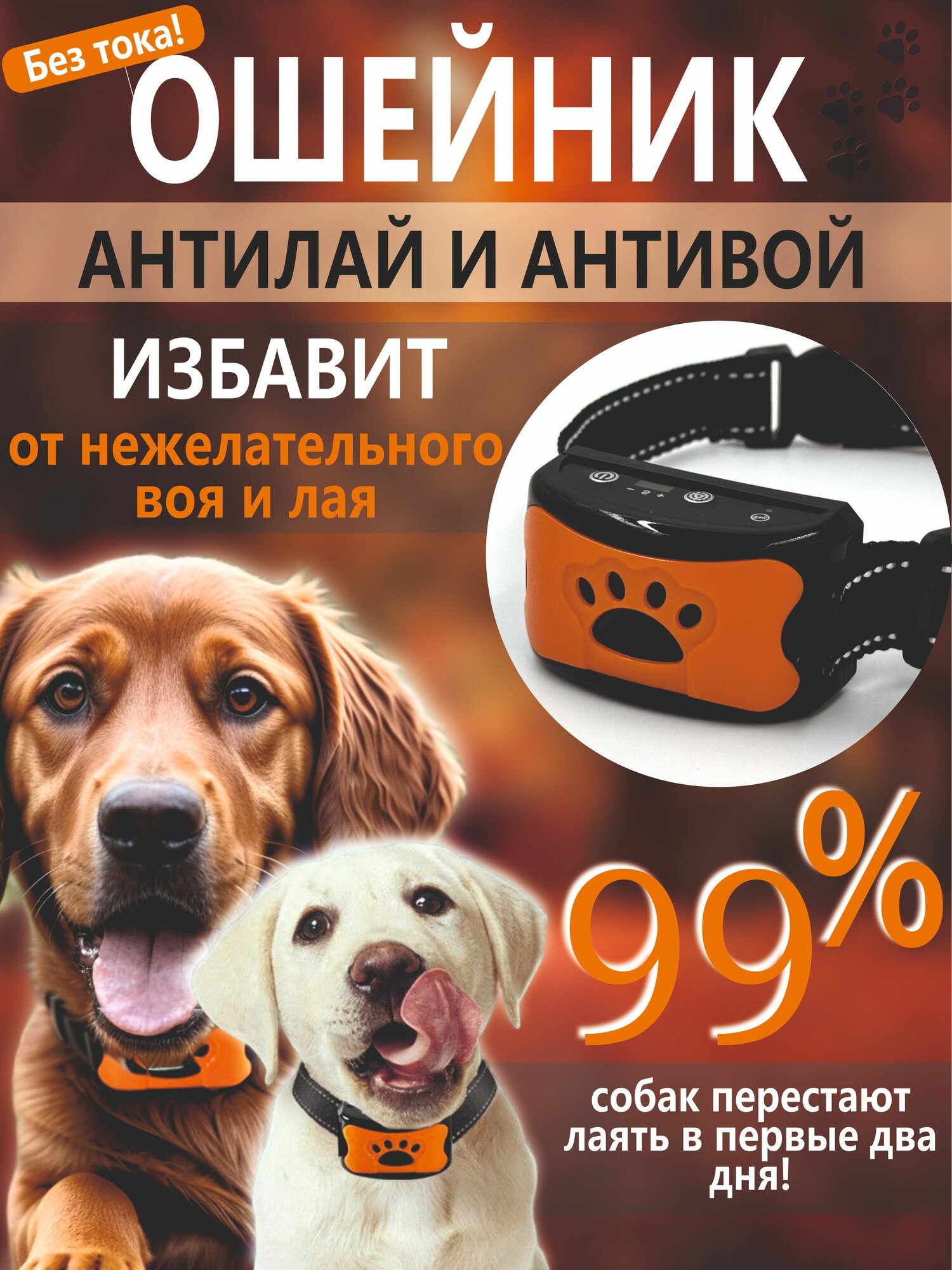 Ошейник