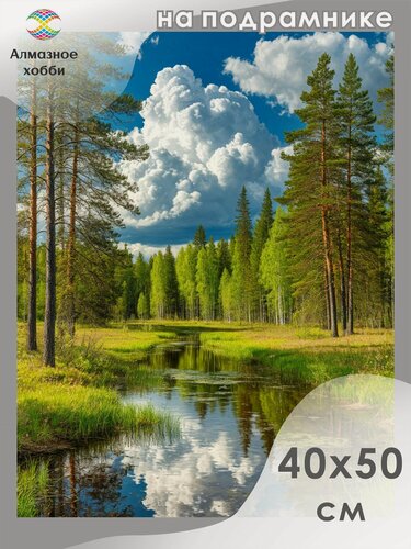 Изображение товара Алмазная мозаика на подрамнике Летний день в лесу 40х50