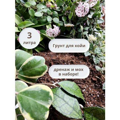 Грунт для хойи плюмерии специализированный готовый ручная фасовка 3л 580₽