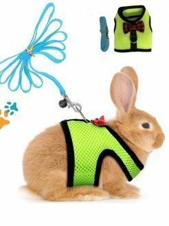 Шлейка для грызунов : кроликов шиншил харьков зеленая