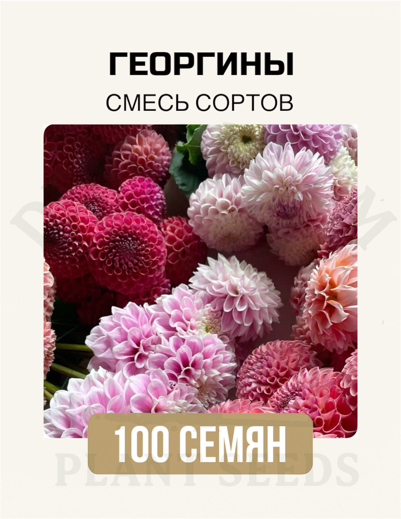 Георгины 100шт смесь сортов семена