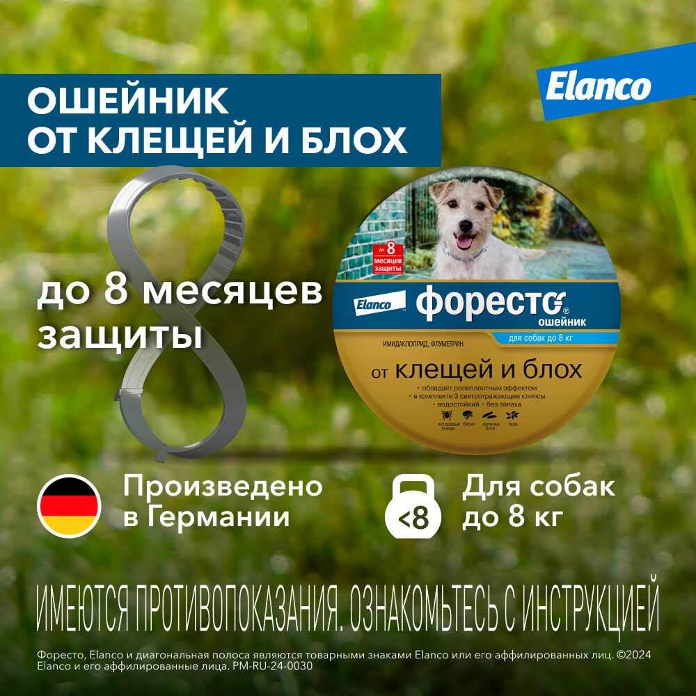 Ошейник Форесто (Elanco) от клещей и блох для собак до 8кг
