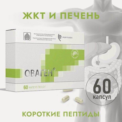 Изображение товара Оваген (Пептиды Хавинсона) пептид для печени и жкт, 60 капсул, бад для профилактивки диабета, печеночной недостаточности, восстановление обмена веществ