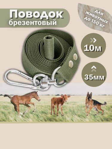 Изображение товара Поводок для крупных собак брезентовый 10 метров 35 мм (зелёный)