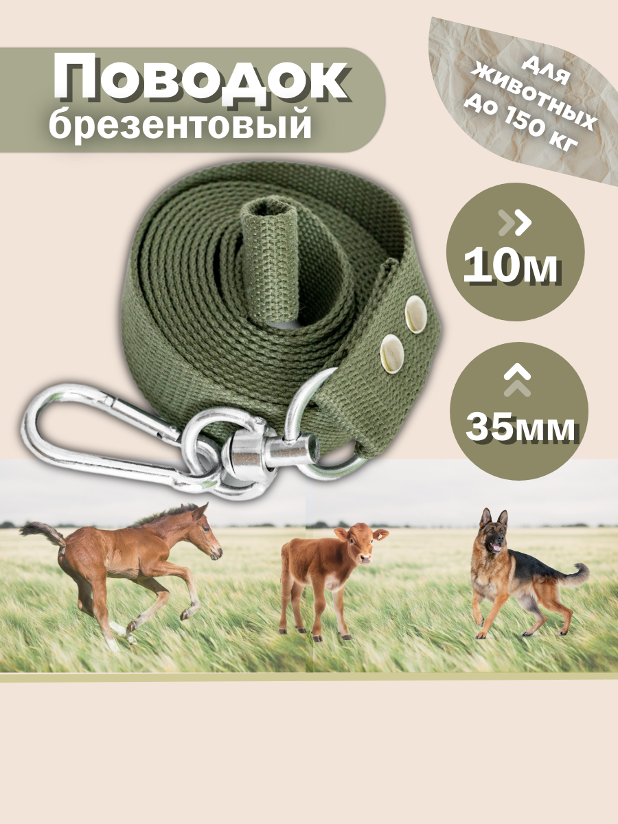 Поводок для крупных собак брезентовый 10 метров 35 мм (зелёный)
