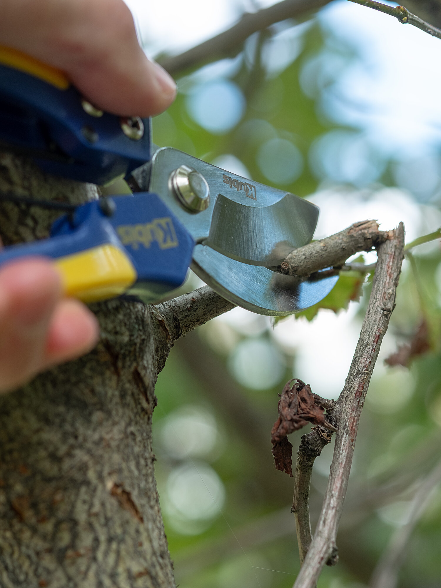 Секатор садовый 200 мм, сталь Mn65, сучкорез для дачи, сада, огорода — фото 1