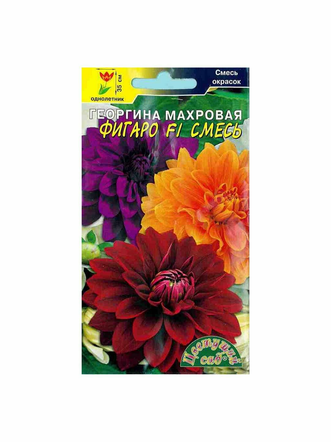 Семена Георгина Фигаро F1 махровая смесь однолетник Цветущий Сад 1 пачка - 0.05г семян