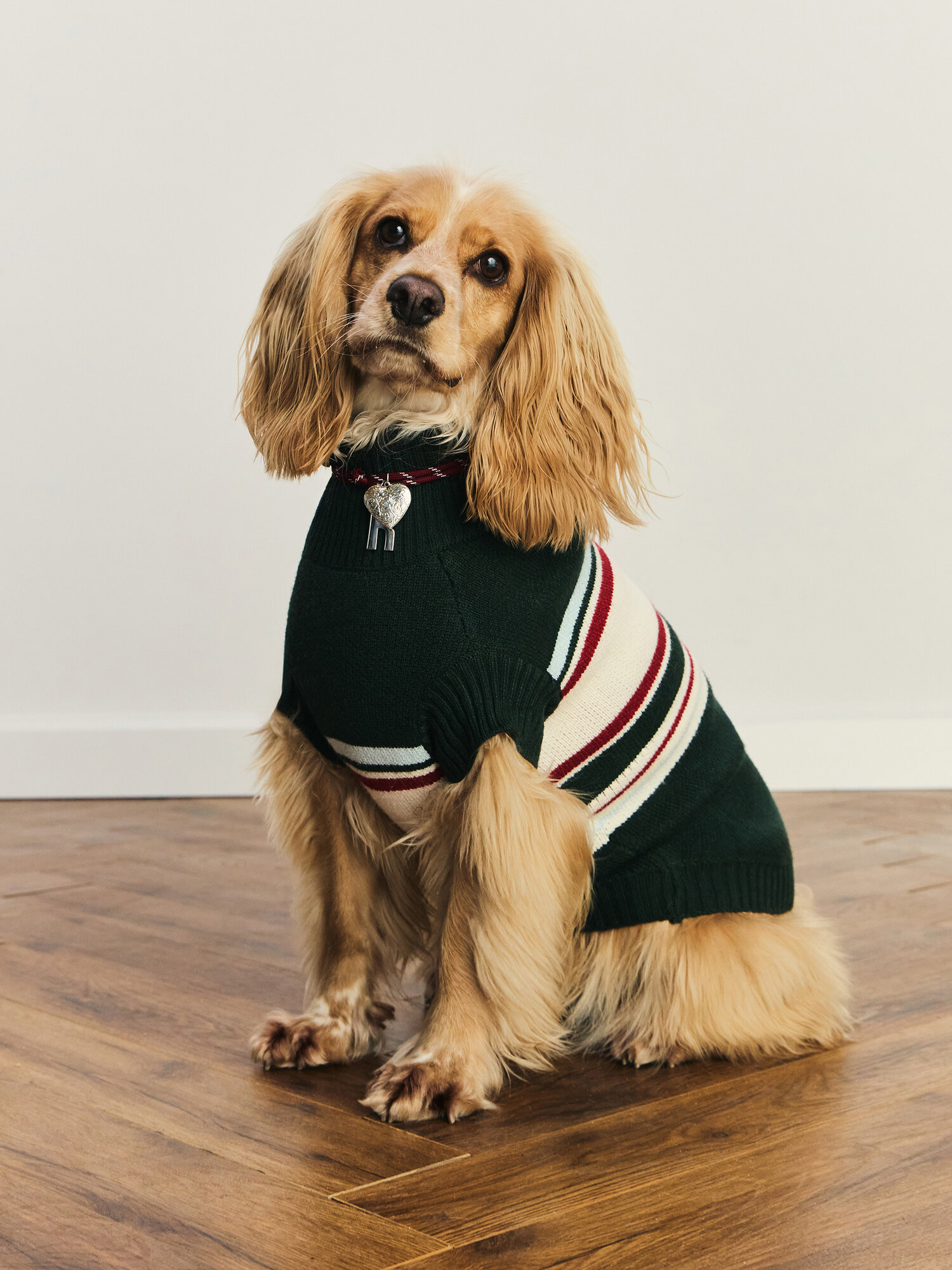 Свитер в полоску для животных