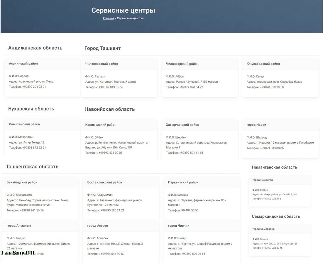 Texno Max 027 Pro кнопочный телефон, два сим, FM радио, фонарик, синий — фото 1